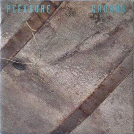 Pleasure Ground ‎– Wait - New Wave Synth Rock in gst, Ophalen, Gebruikt, Rock en Metal
