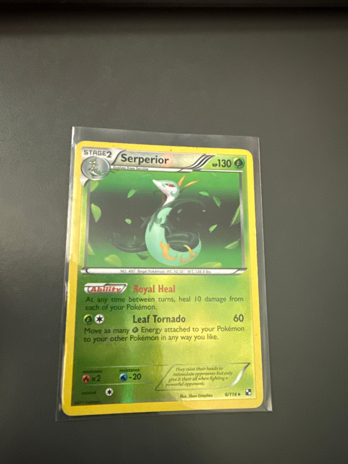 Pokémon Kaart Serperior 6/114 - Zeldzaam, Verzenden, Zo goed als nieuw, Losse kaart
