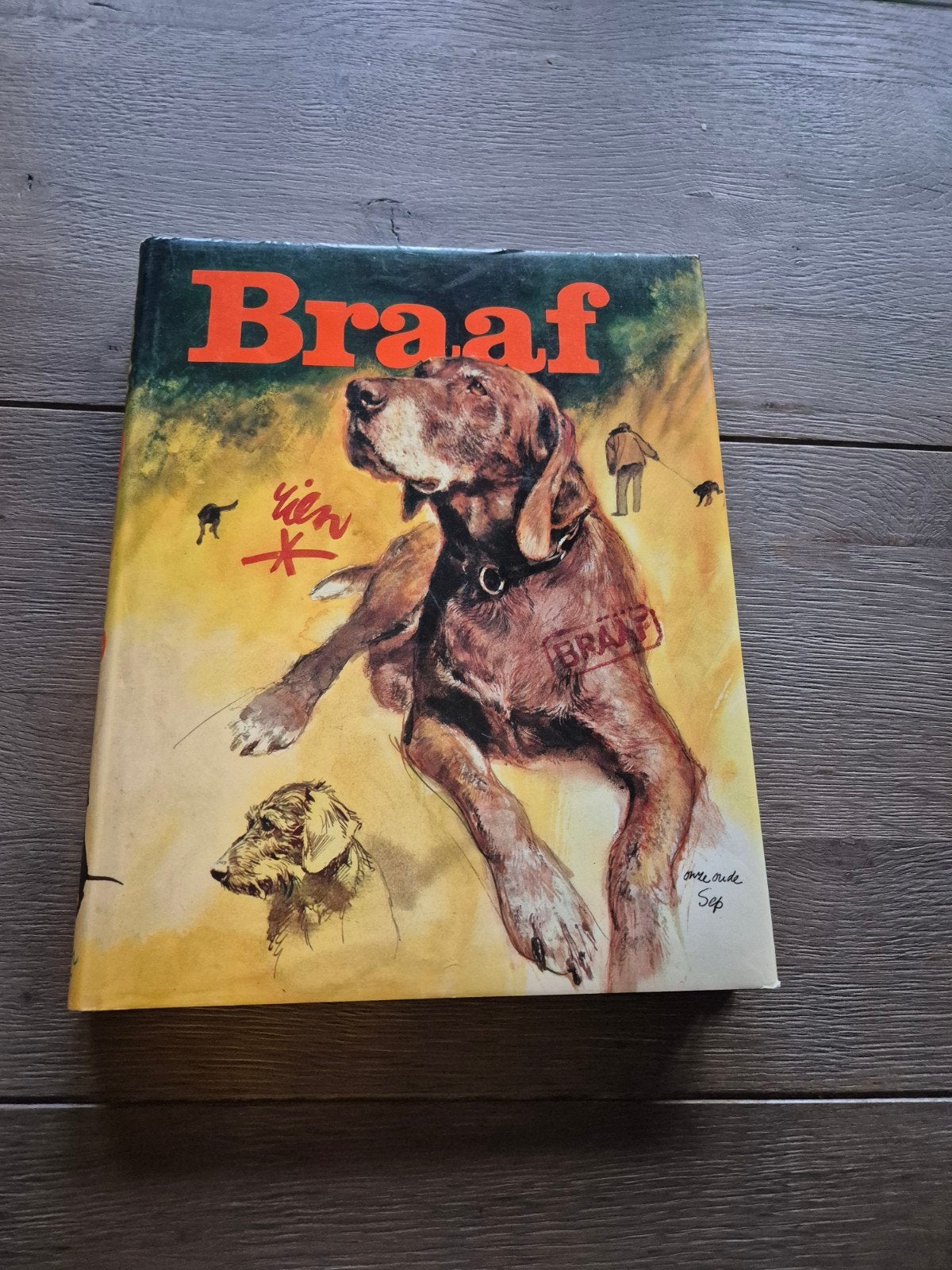 rien poortvliet, Braaf., Ophalen of Verzenden, Zo goed als nieuw