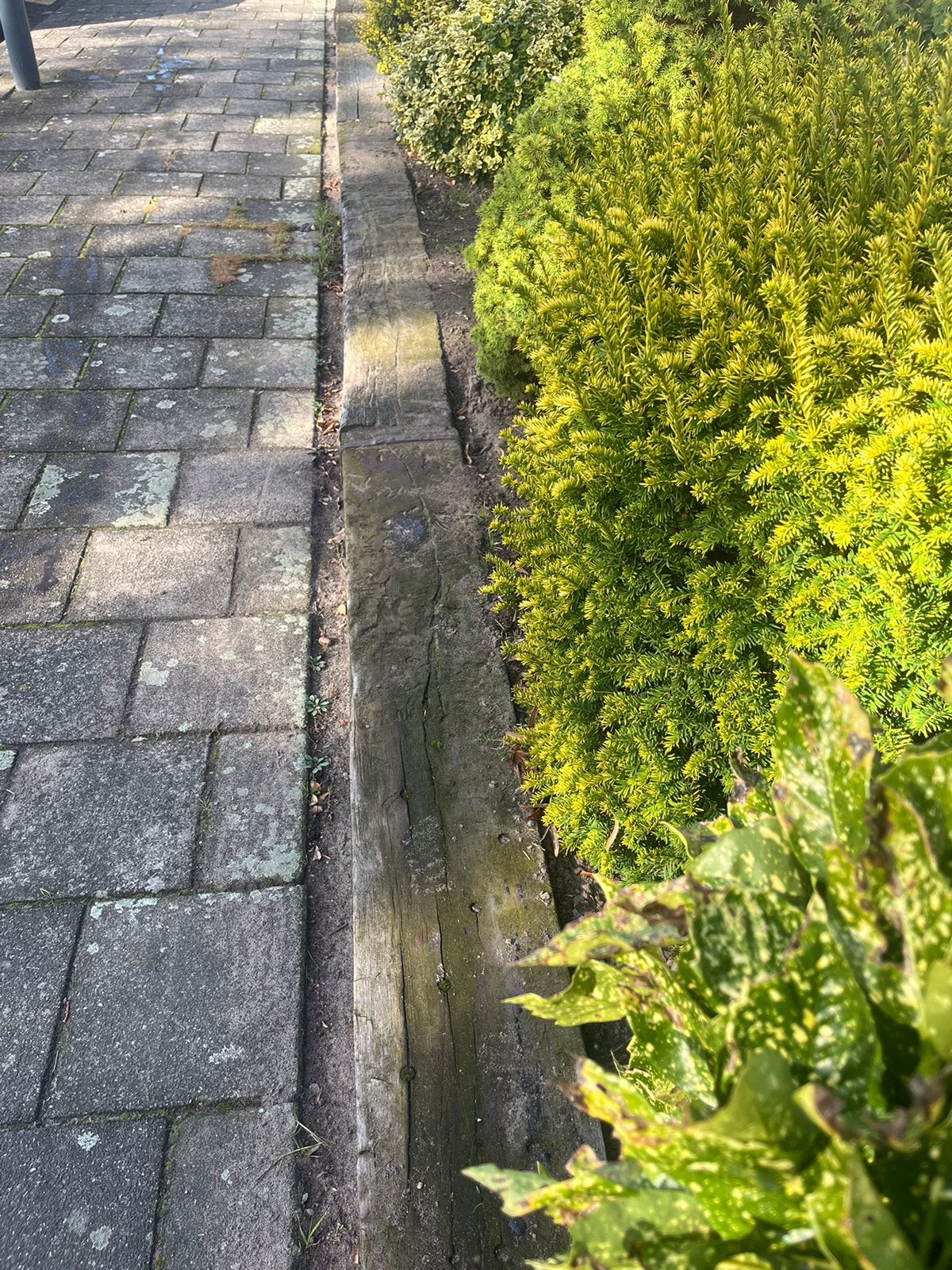 Originele houten bielzen GRATIS af te halen, Ophalen, Gebruikt, 180 tot 250 cm, Overige typen