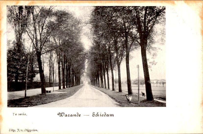 Schiedam - Warande, Ophalen of Verzenden, Voor 1920, Ongelopen, Zuid-Holland