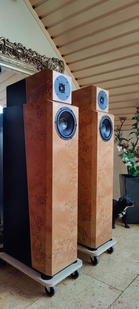 Master Reference Sen - Zuilspeaker BurlWalnut Veneer Black., Audio, Tv en Foto, Luidsprekers, Overige merken, Ophalen of Verzenden