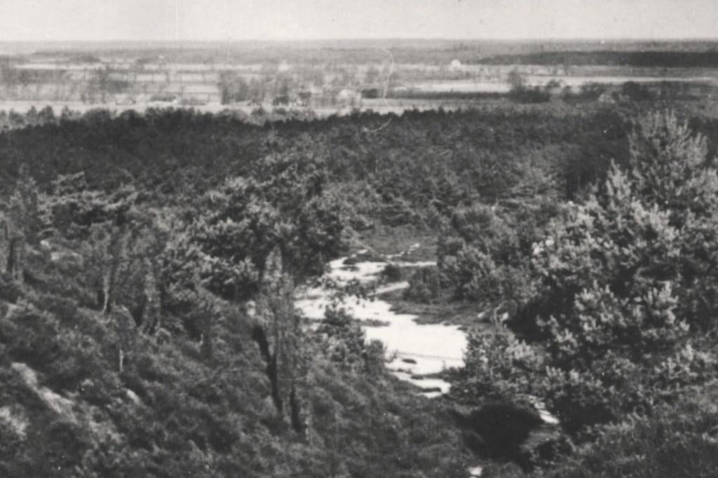 991218 Lemelerveld Lemelerberg 1950 Ov Gelopen met postzegel, Verzamelen, Ansichtkaarten | Nederland, Ophalen of Verzenden, 1940 tot 1960