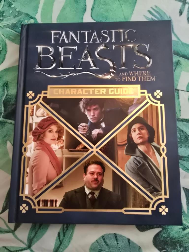 Character Guide: Fantastic Beasts and where to find them EN, Verzamelen, Ophalen of Verzenden, Boek of Poster