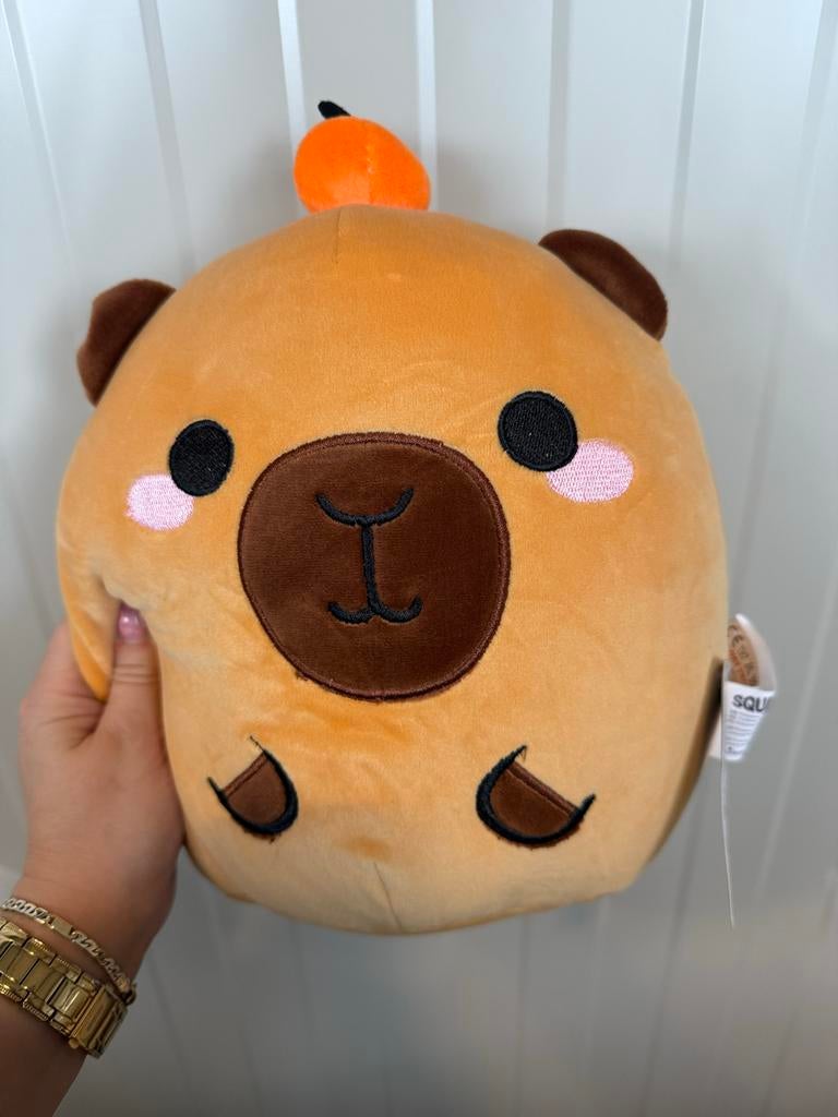 Capybara Knuffel en Sparen, Ophalen of Verzenden, Nieuw, Overige typen