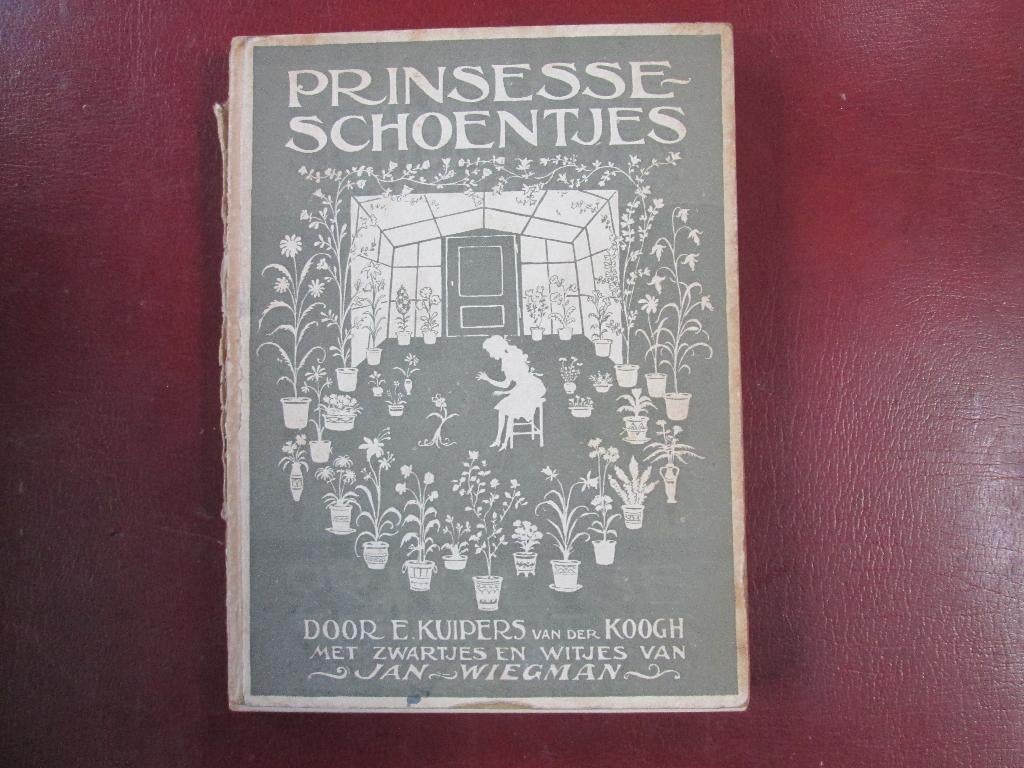 Prinsesse-Schoentjes, door E. Kuipers-van der Koogh, Ophalen of Verzenden, Gelezen, Fictie algemeen