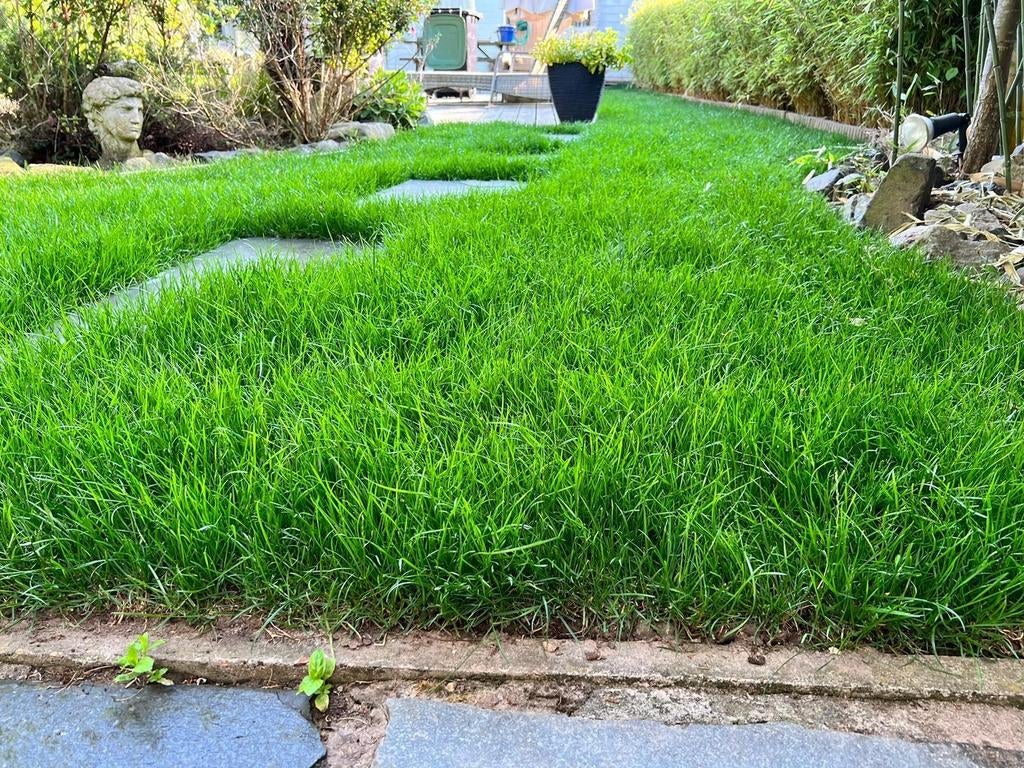 Graszoden wijderen en Graszoden aanleggen