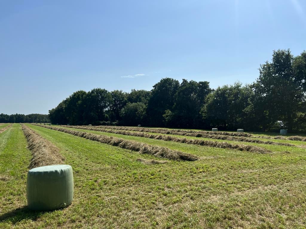 Midibalen voordroog en hooi kopen met analyse, laag suiker., Dieren en Toebehoren, Ophalen of Verzenden, Vee