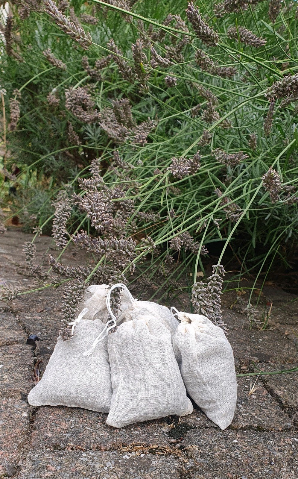 Biologische, gedroogde lavendel geurzakjes, Ophalen of Verzenden, Nieuw