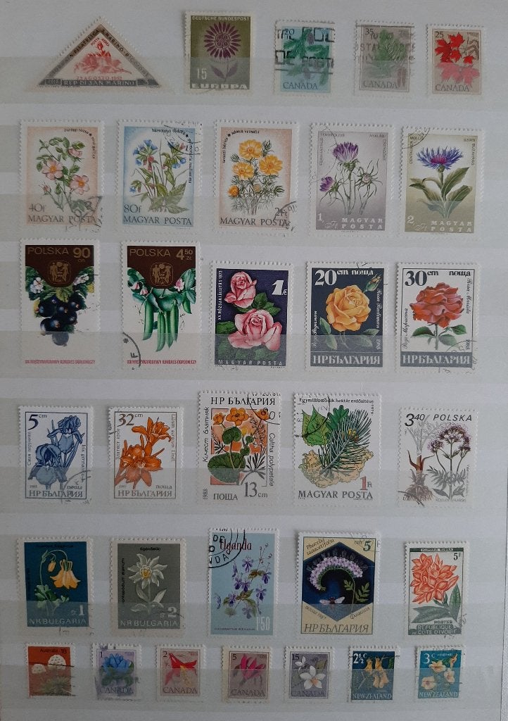 3 Kaarten Postzegels Bijzondere en Mooiste Bloemen No. 21, Ophalen, Dier of Natuur