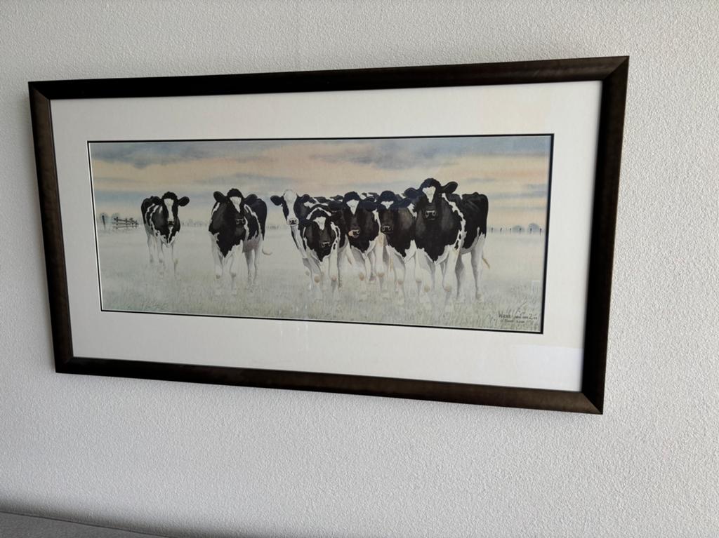 Wiebe van der Zee  koeien in de wei, Antiek en Kunst, Ophalen