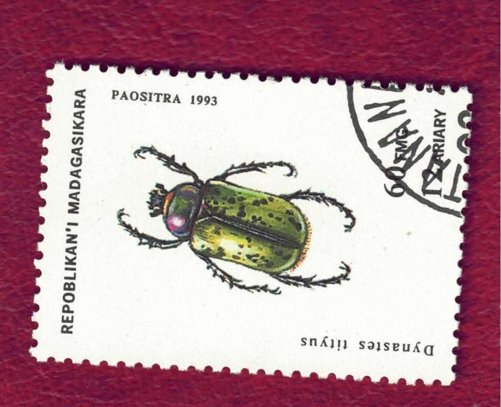 Fauna - Dieren - Torren - Madagasikara - 1657 - gebr, Ophalen of Verzenden, Gestempeld, Dier of Natuur