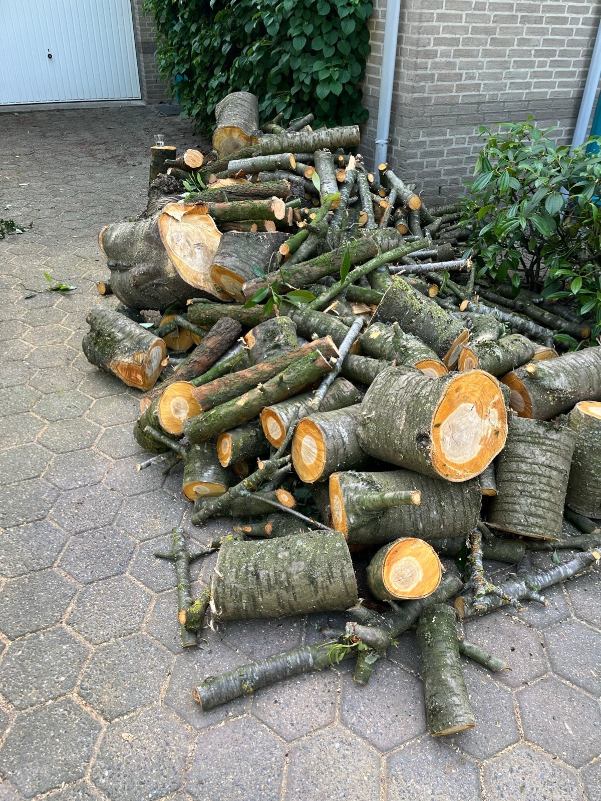 Openhaardhout kachelhout brandhout, Tuin en Terras, Haardhout, Minder dan 3 m³, Ophalen of Verzenden, Overige houtsoorten, Stammen
