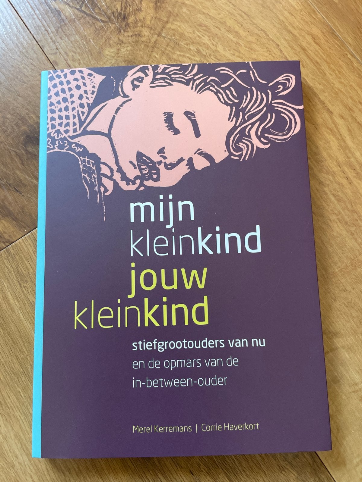 Mijn kleinkind jouw kleinkind - Stiefgrootouders, Ophalen of Verzenden, Zo goed als nieuw, Opvoeding tot 6 jaar
