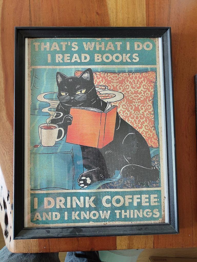 Poster van kat, Ophalen, Met lijst, Rechthoekig Liggend, Zo goed als nieuw
