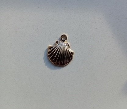 Goudkleurige kettinghanger schelp  , Sieraden, Tassen en Uiterlijk, Kettinghangers, Verzenden, Nieuw, Goud, Overige materialen