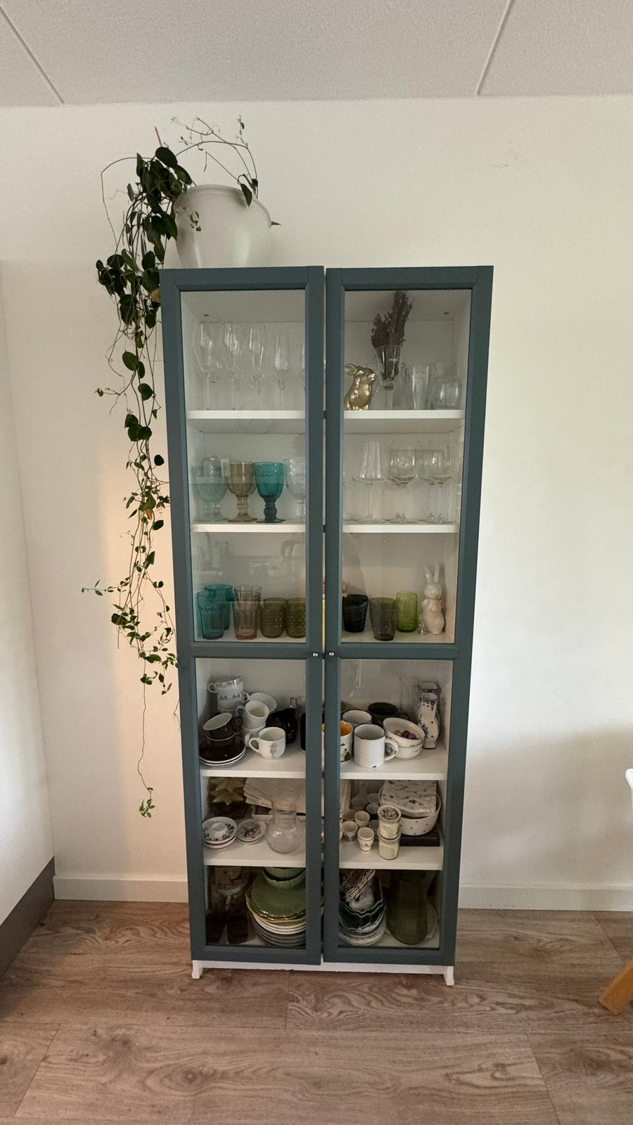 Ikea glazen vitrinekast met deuren en planken, Ophalen, 50 tot 100 cm, 150 tot 200 cm, 25 tot 50 cm