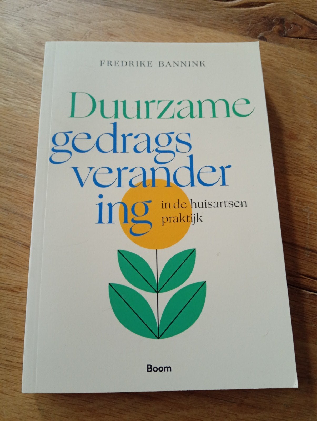 Duurzame gedragsverandering in de huisartsenpraktijk, Fredrike Bannink, Zo goed als nieuw, Gamma, HBO