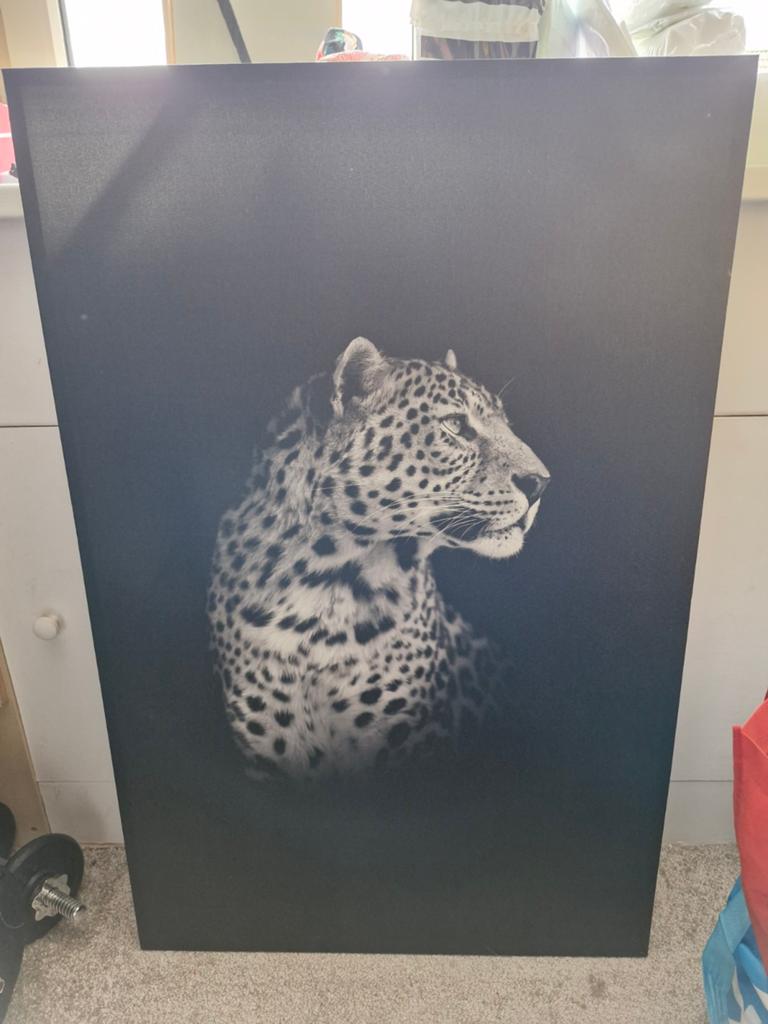 Groot zwart-wit panter canvas schilderij (115x75 cm), Ophalen
