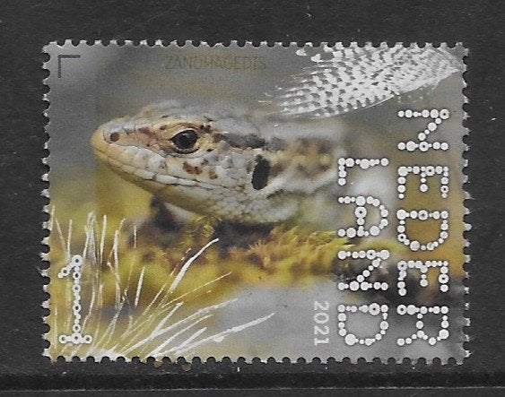 2021, Dwingelderveld, Zandhagedis [3901] (K0907), Postzegels en Munten, Postzegels | Nederland, Ophalen of Verzenden