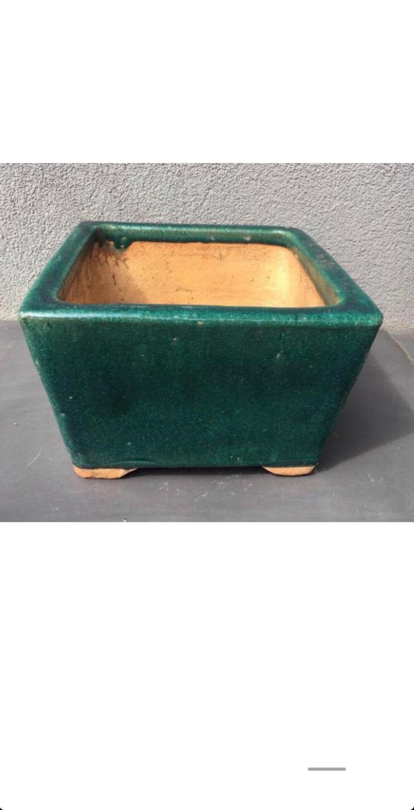 Mooie antieke groene vierkante bloempot bonsai, Ophalen of Verzenden