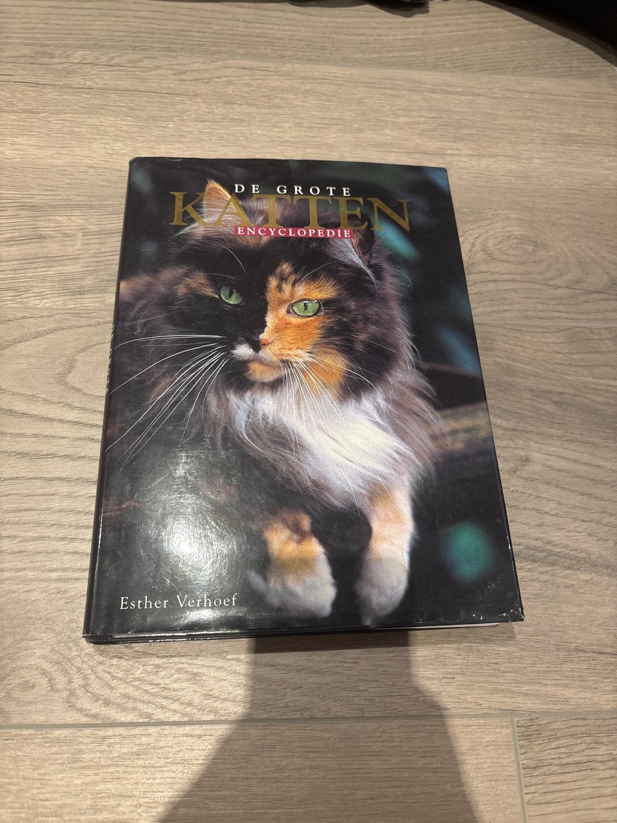 De Grote Katten Encyclopedie - Esther Verhoef, Boeken, Ophalen, Zo goed als nieuw, Dieren, Los deel