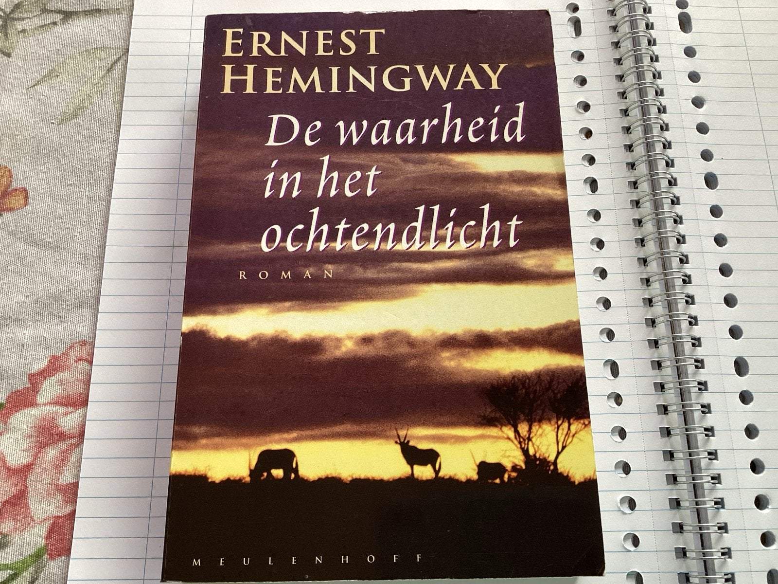 Ernest Hemingway - De waarheid in het ochtendlicht, Ophalen of Verzenden, Gelezen, Nederland