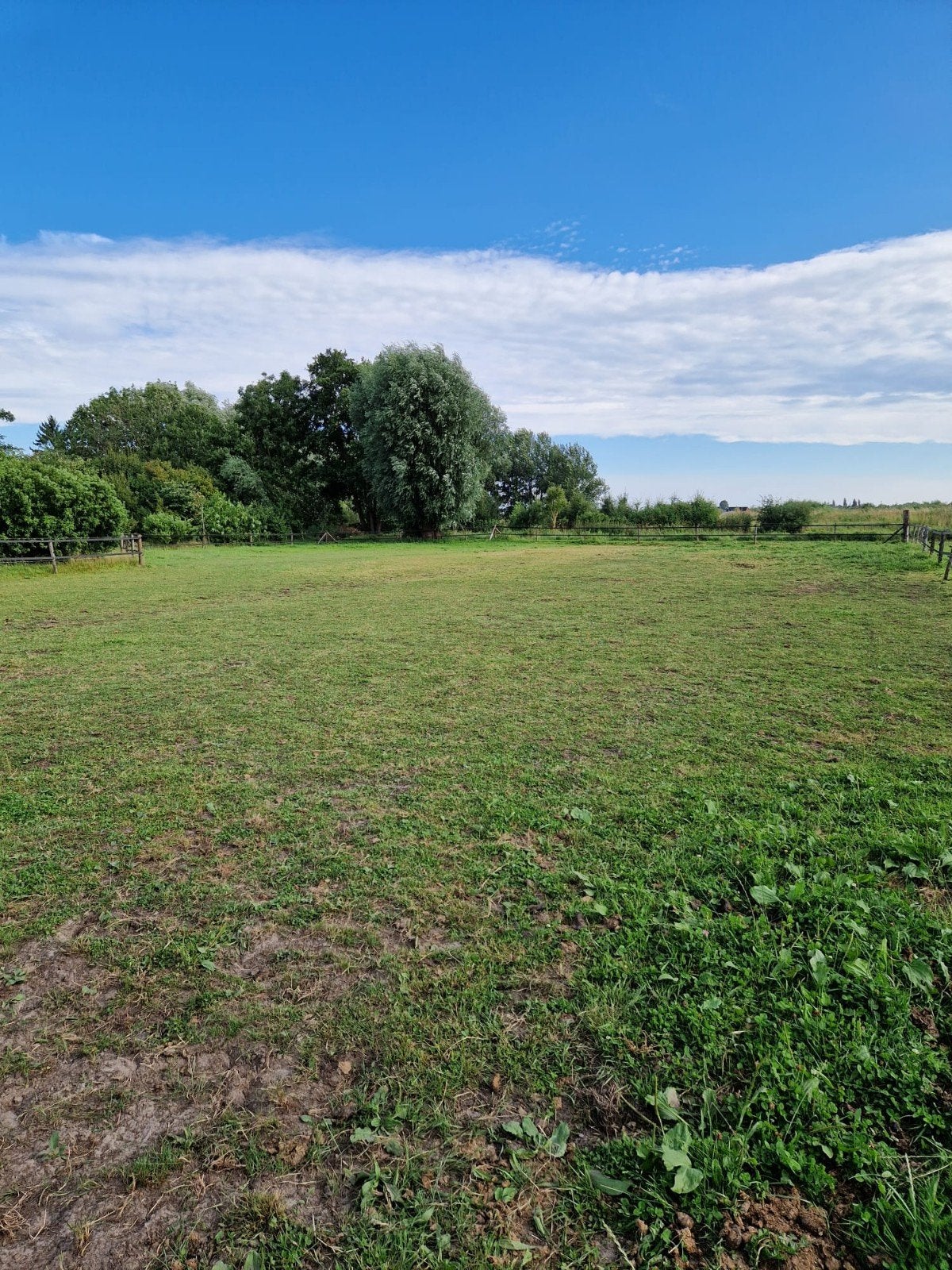 Stallingsplekje aangeboden in Finsterwolde., Weidegang
