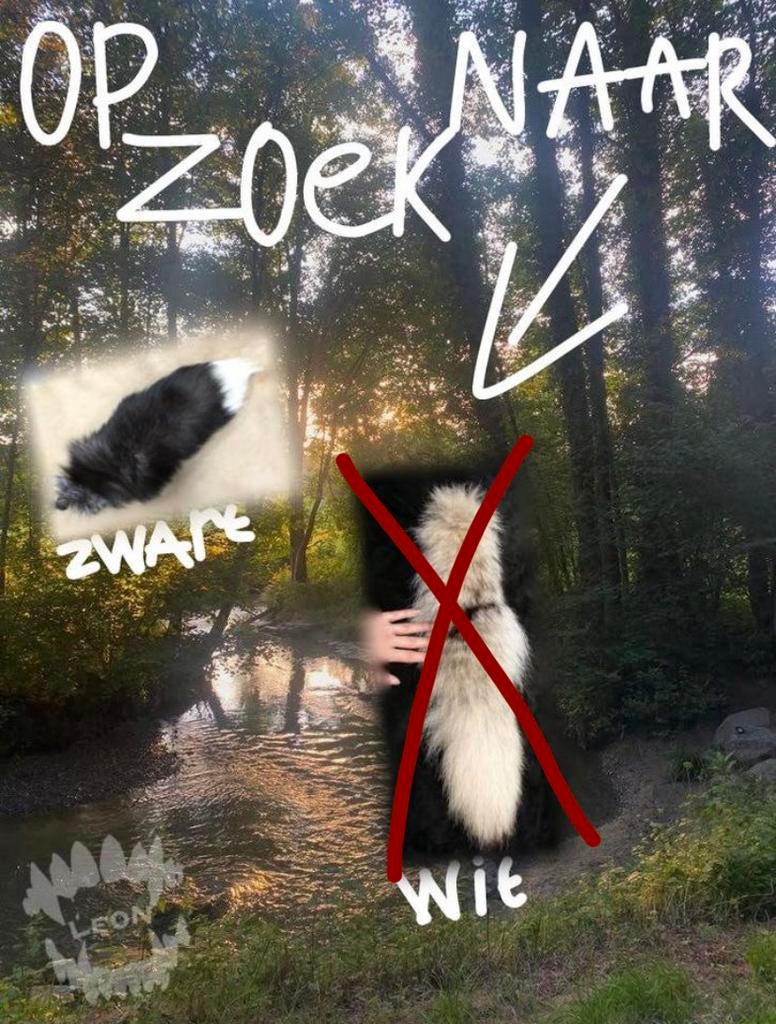 Op zoek naar therian staart. (Lees beschrijving / repost), Hobby en Vrije tijd, Kostuums, Theaterbenodigdheden en LARP, Ophalen of Verzenden