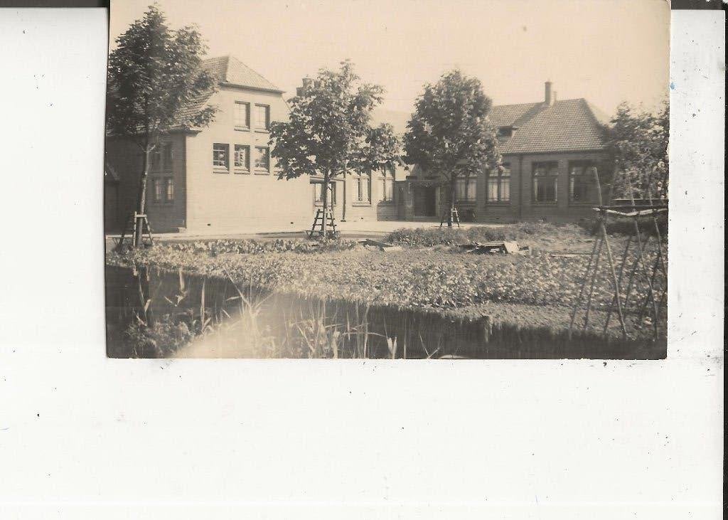 Westland Onbekende woning met bonenstaken Fotokaart, Ophalen of Verzenden, 1920 tot 1940, Ongelopen, Zuid-Holland
