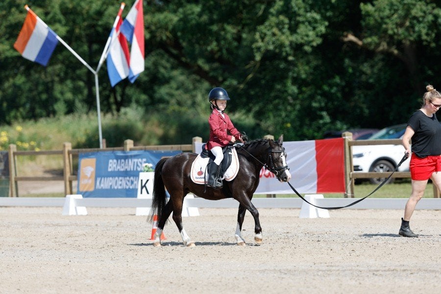 Welsh a (sport)pony, Dieren en Toebehoren, Merrie, Dressuurpony, A pony (tot 1.17m), 3 tot 6 jaar