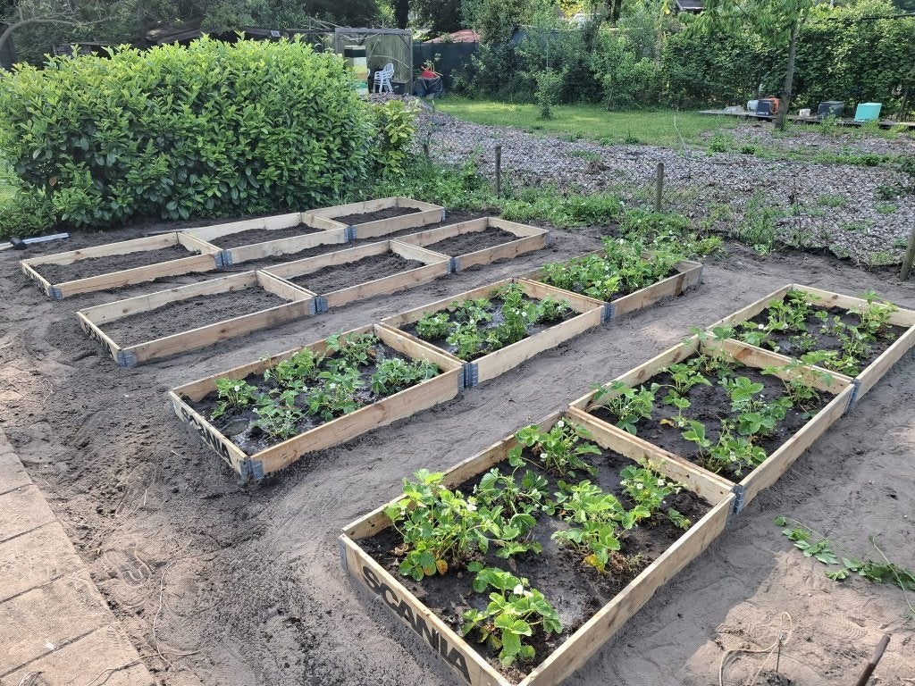 Moestuinbak pallet rand bloembak kruidentuin kweekbak, Tuin en Terras, Ophalen, Gebruikt, Minder dan 30 cm, 100 cm of meer
