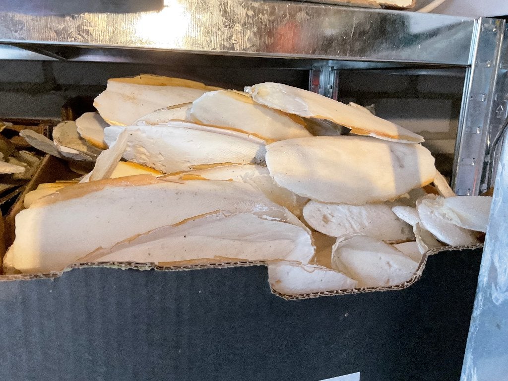 Sepia inktvis schelpen Calciumbron groot, Dieren en Toebehoren, Ophalen of Verzenden
