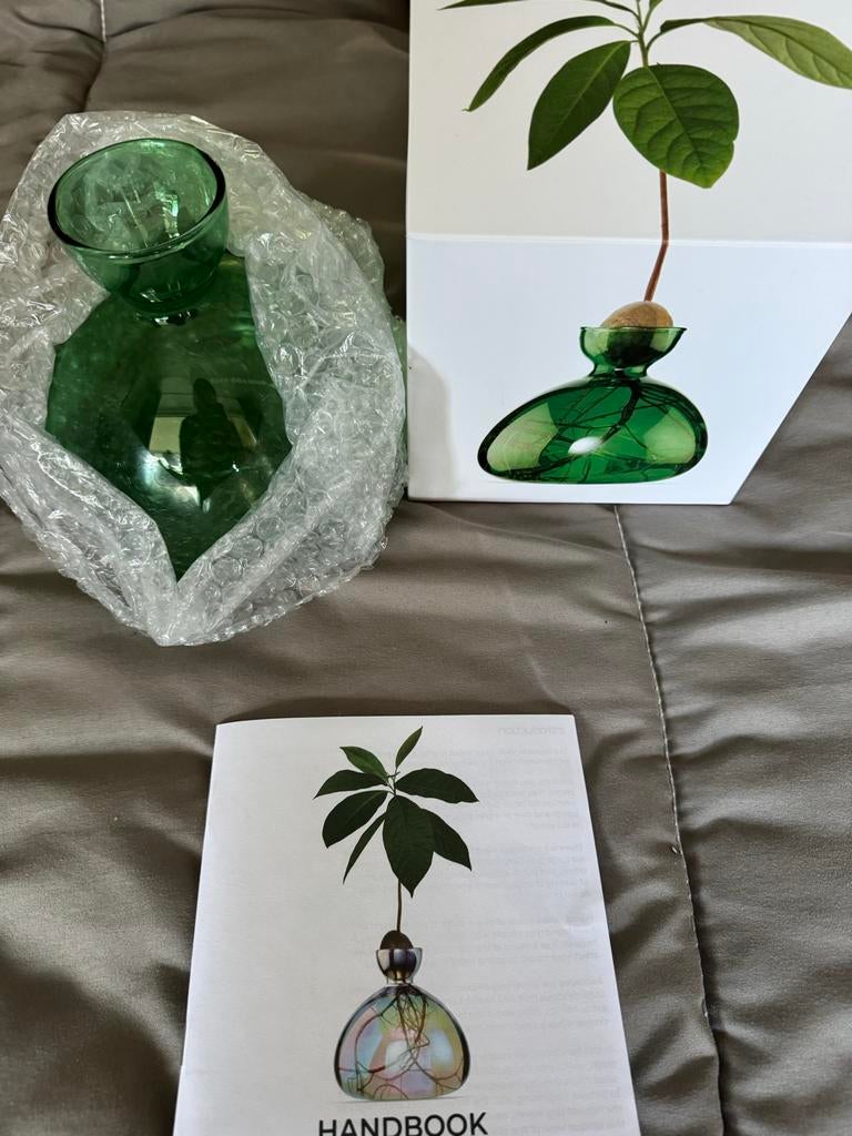 Nieuwe Avocado Vaas - Kweek je eigen avocadoplant!, Ophalen, Nieuw, Groen, Glas