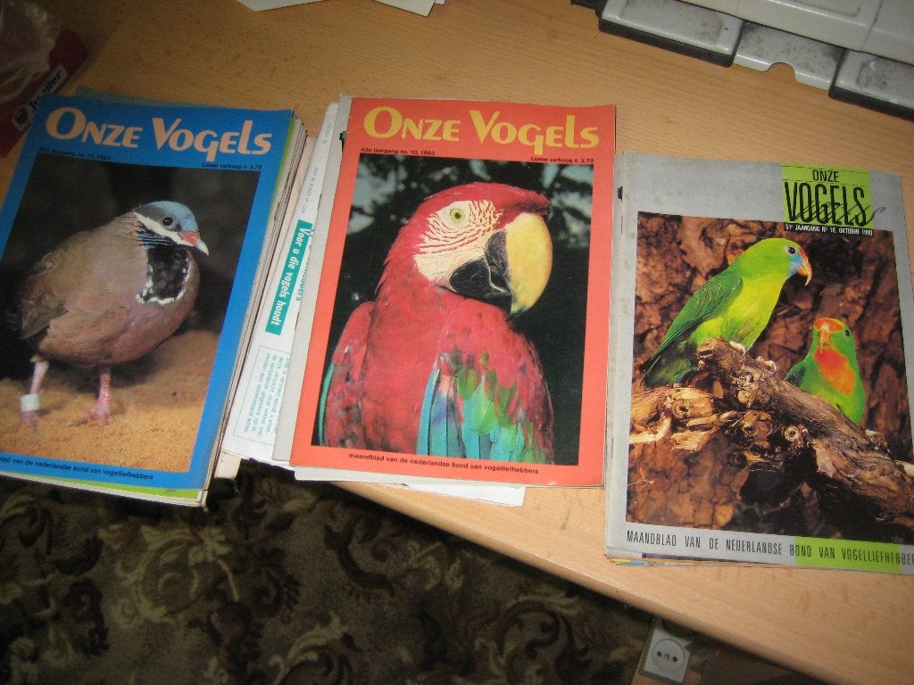 onze vogels, Meerdere dieren, Parkiet