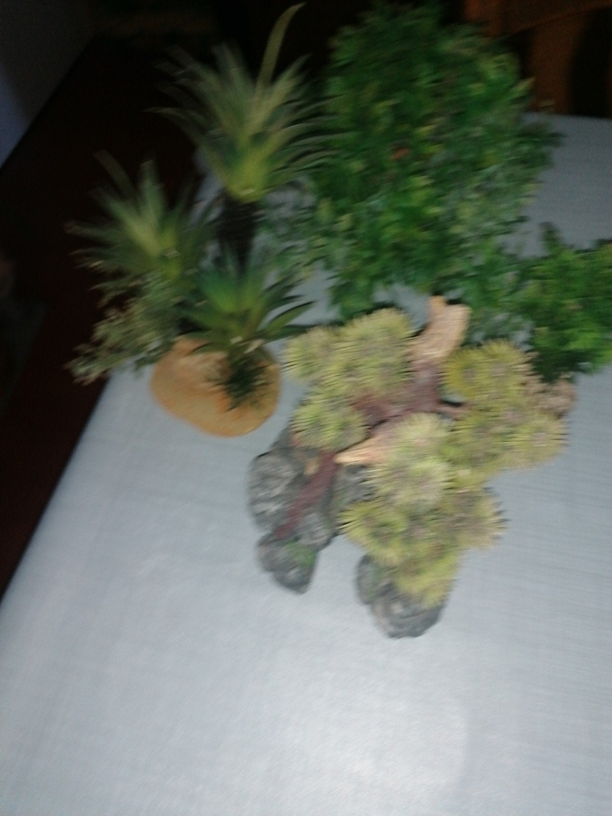 Auariumplanten, Dieren en Toebehoren, Ophalen