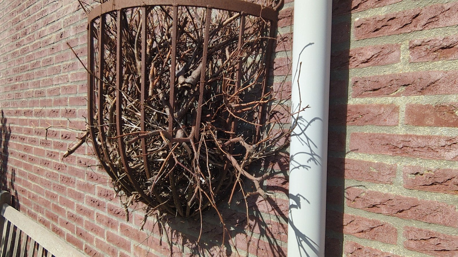 ruif voor hooi of decoratie, Tuin en Terras, Ophalen