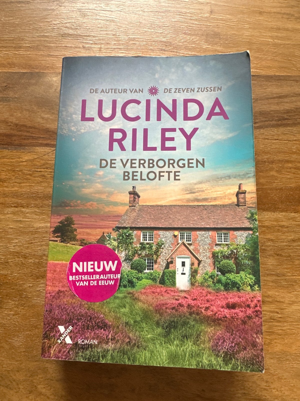 Lucinda Riley - De Verborgen Belofte, Ophalen of Verzenden, Gelezen, Nederland