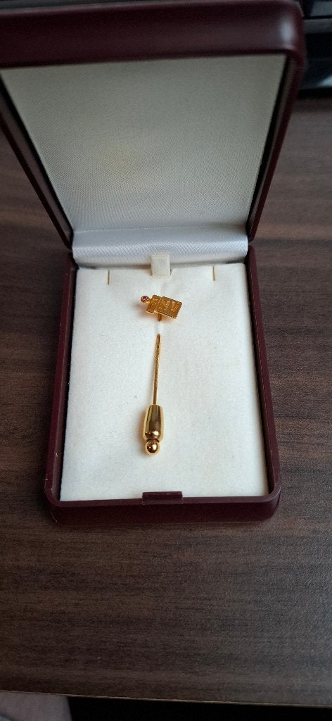 FNV speldje - Goud met robijn, Ophalen, Zo goed als nieuw, Overige onderwerpen, Speldje of Pin