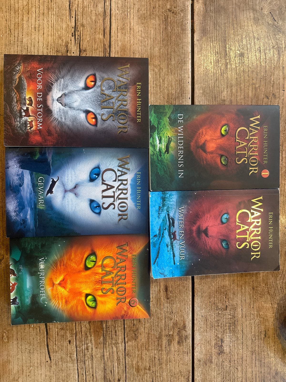 Warrior Cats boekenreeks (5 boeken, boek 3 mist), Boeken, Ophalen of Verzenden, Gelezen