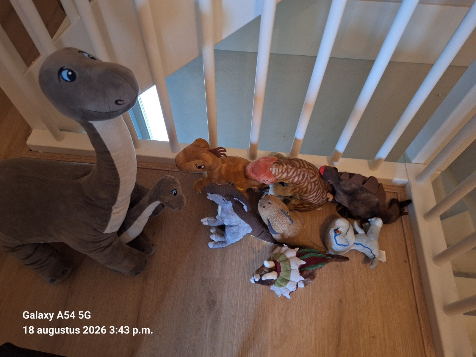 Gratis dino knuffels, Ophalen