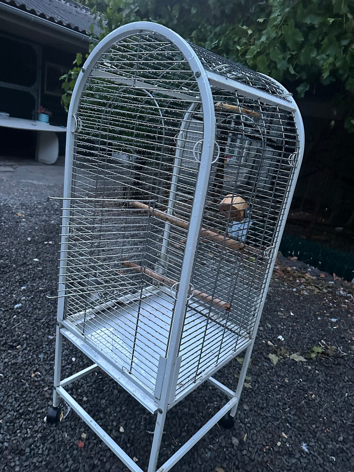 Vogelkooi voor kleine papegaai soorten., Ophalen, Gebruikt, Metaal, Vogelkooi