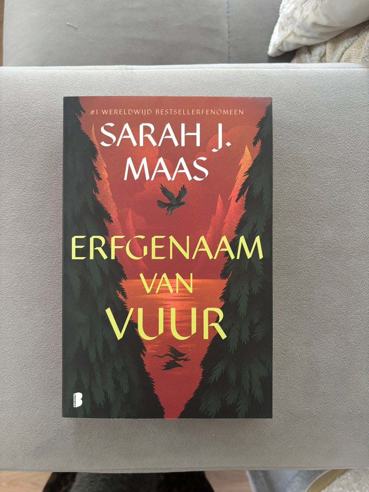 Sarah J. Maas - Erfgenaam van vuur, Ophalen, Zo goed als nieuw, Sarah J. Maas