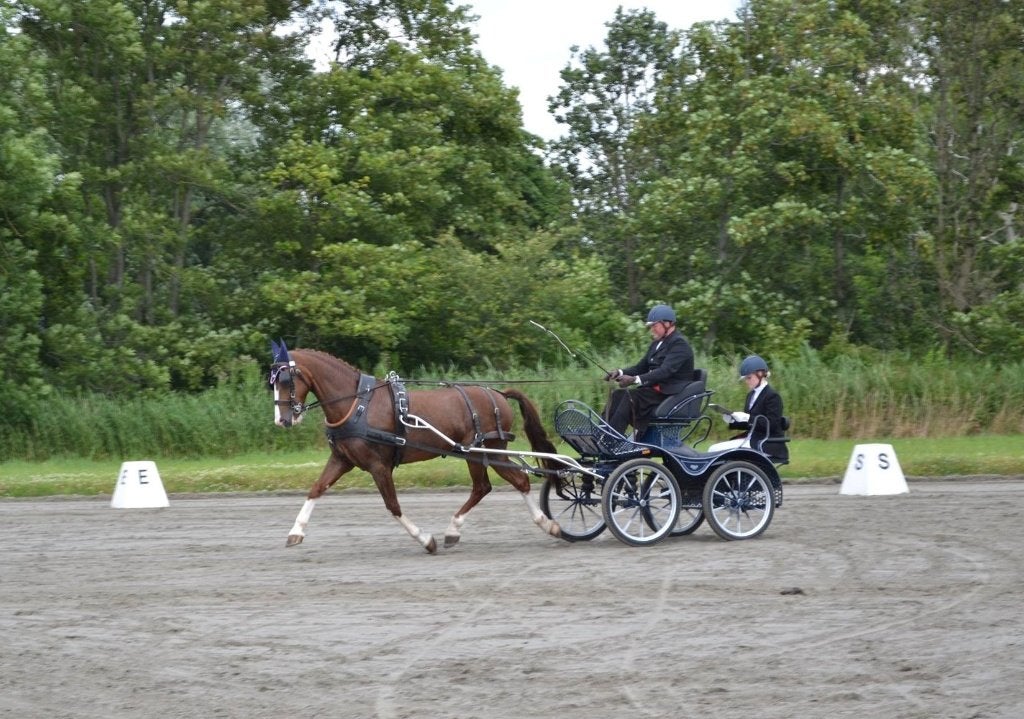 Mooie marathonwagen, enkelspan paard, Dieren en Toebehoren, Zo goed als nieuw, Marathonwagen, Paard