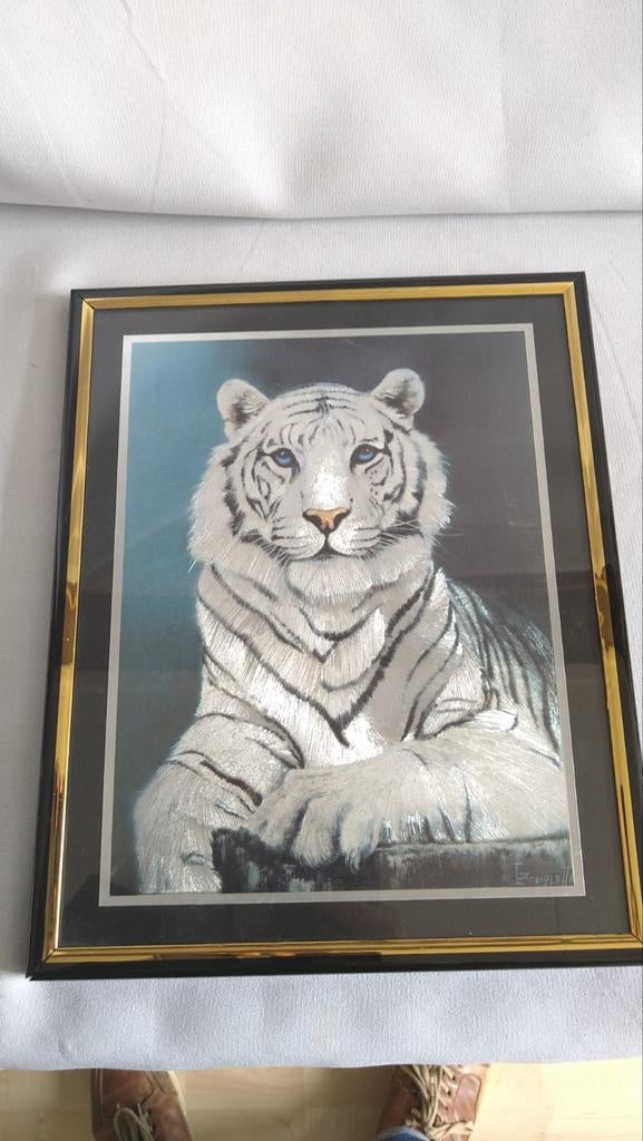 Foto witte tijger in zwarte lijst 20x25 cm, Ophalen of Verzenden, Zo goed als nieuw, Minder dan 50 cm, Foto of Poster