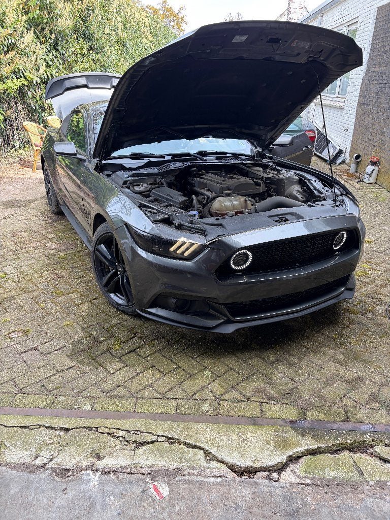 mustang 2,3 ecoboots 2016, Auto's, 4 cilinders, 2300 cc, Bedrijf, Handgeschakeld