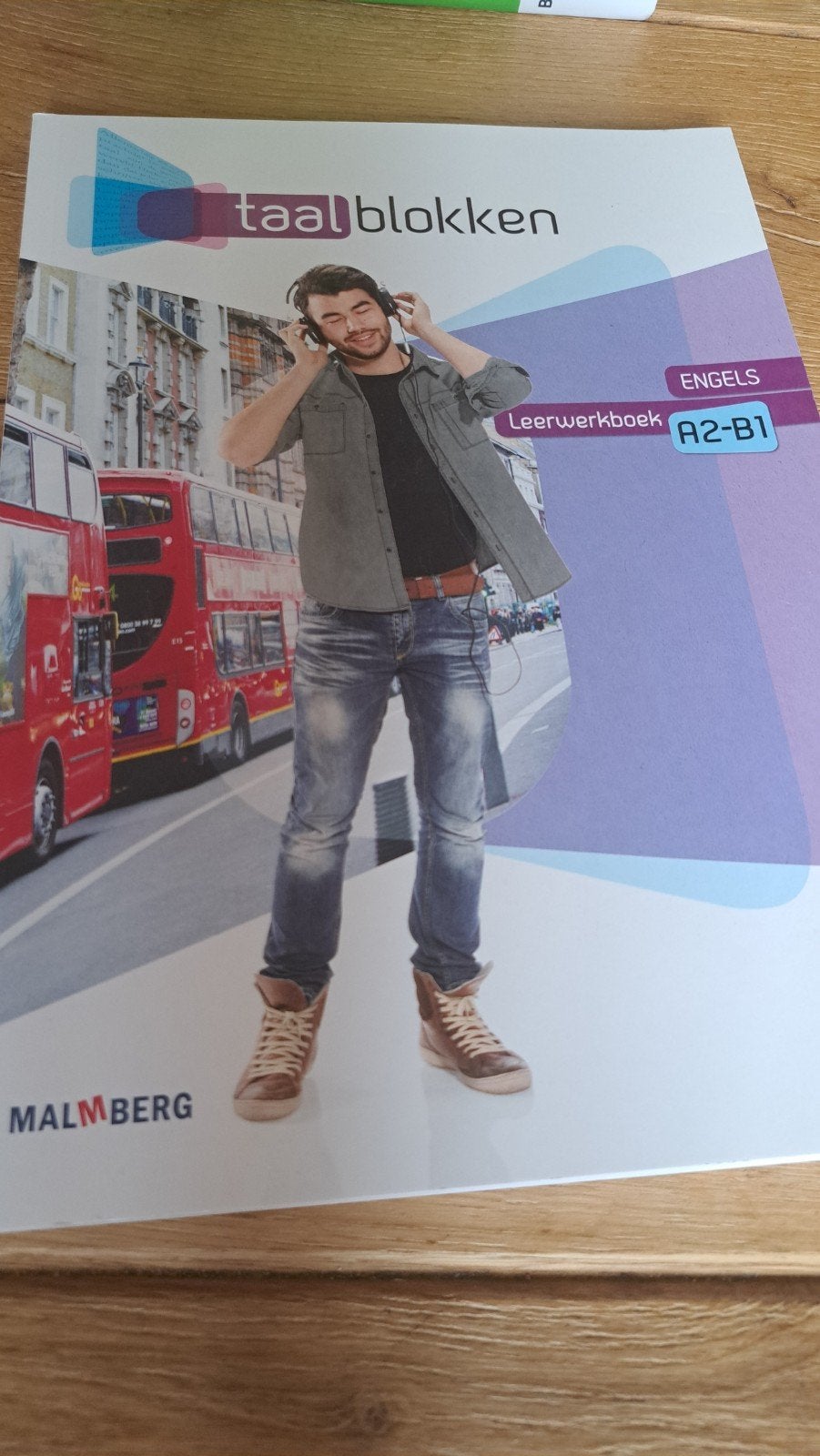 Marjo Reijnen - Leerwerkboek, Boeken, Marjo Reijnen; Ellen Janzing, Ophalen of Verzenden, Zo goed als nieuw, Nederlands