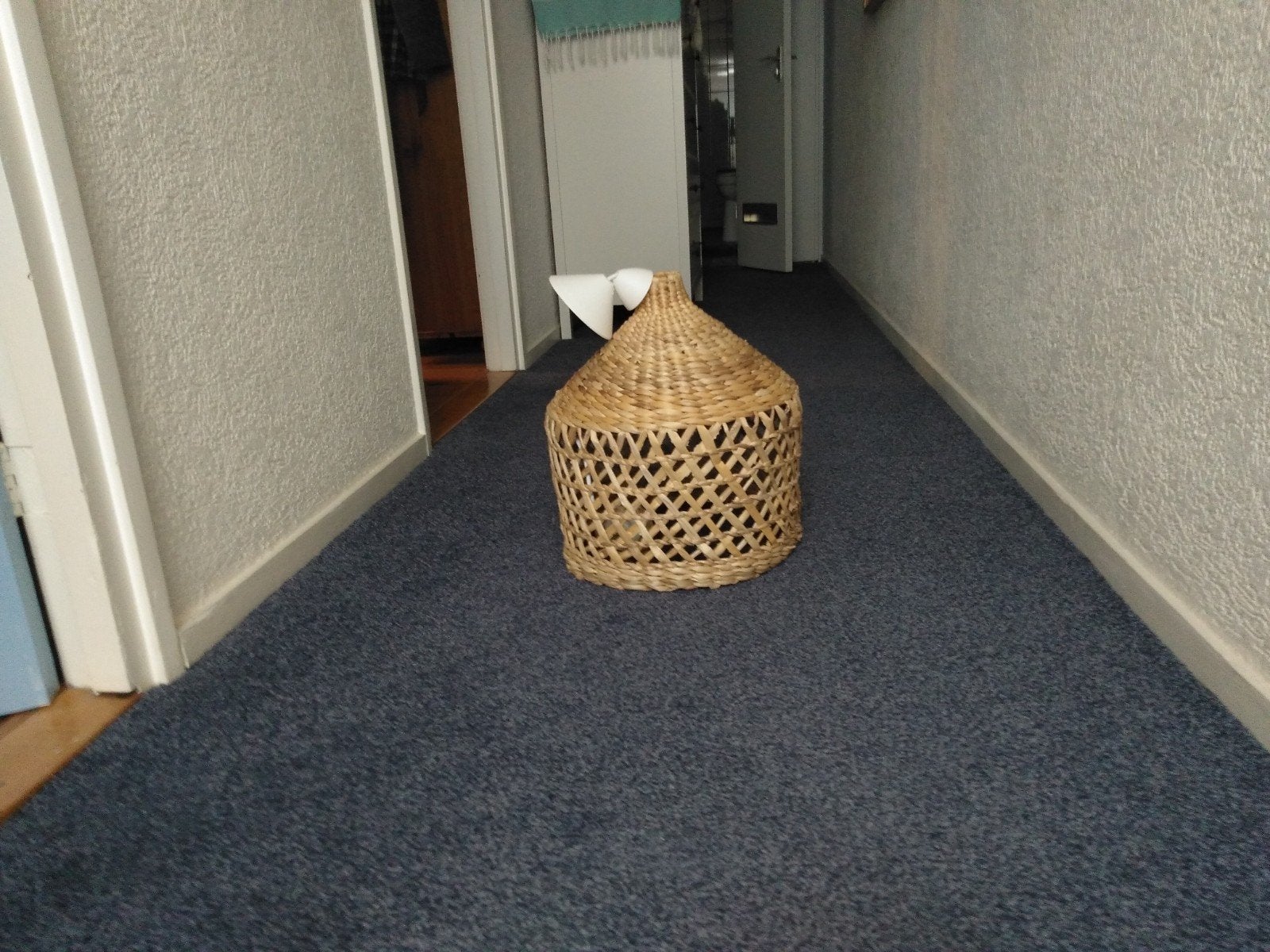 Rieten hanglamp, Ophalen, Natuurlijk materiaal, Nieuw, E27 (groot)