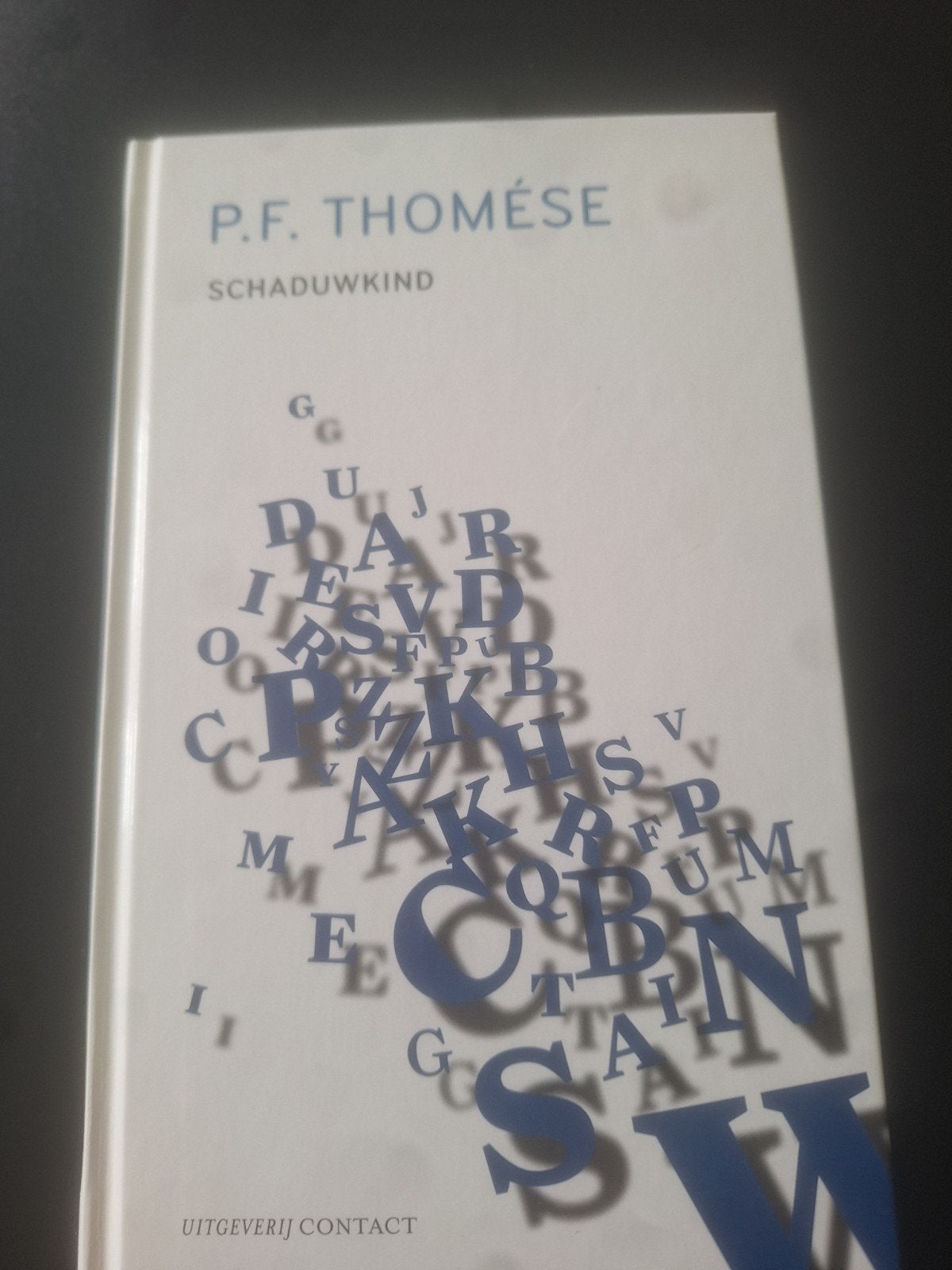 P.F. Thomése - Schaduwkind (Boek), Boeken, Ophalen of Verzenden, Gelezen, P.F. Thomése, Nederland