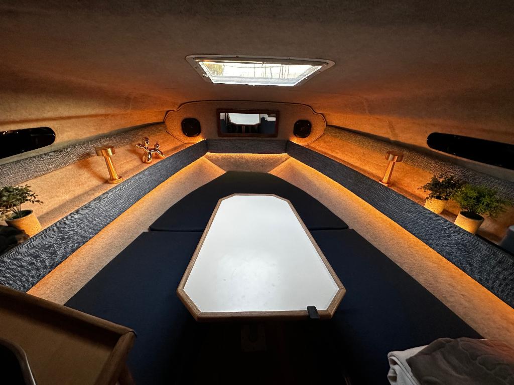 Sea Ray Sundancer 230 (boegschroef) - zeer goed onderhouden, Watersport en Boten, Ophalen, Gebruikt, Binnenboordmotor, 260 pk